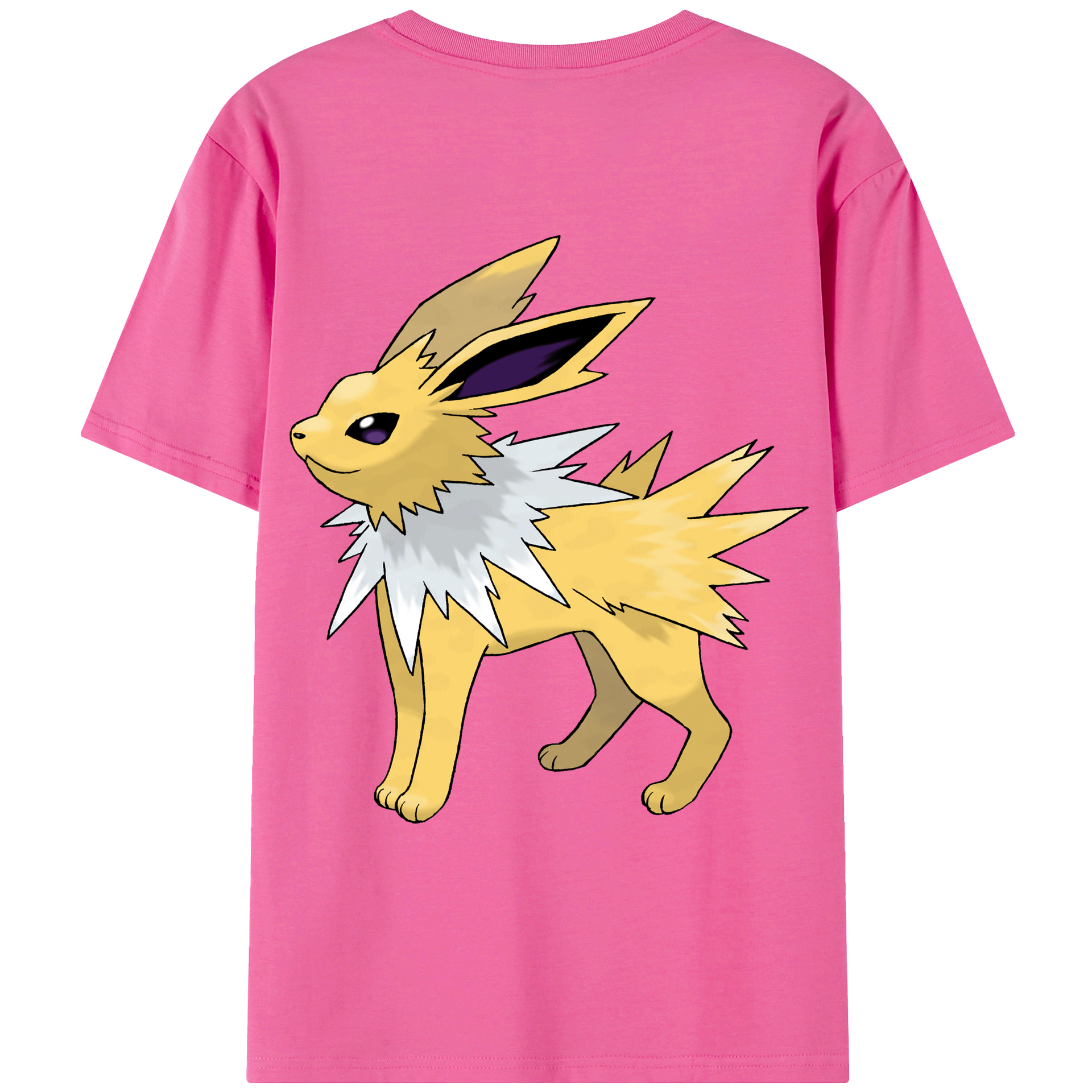 （画像用） ポケットモンスター Pokémon レディース半袖Tシャツ(バックプリント)
